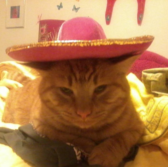 154720_10200214777475096_1305613092_n