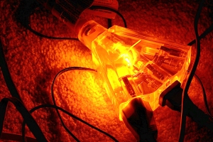 Glowing multi-plug extension cord